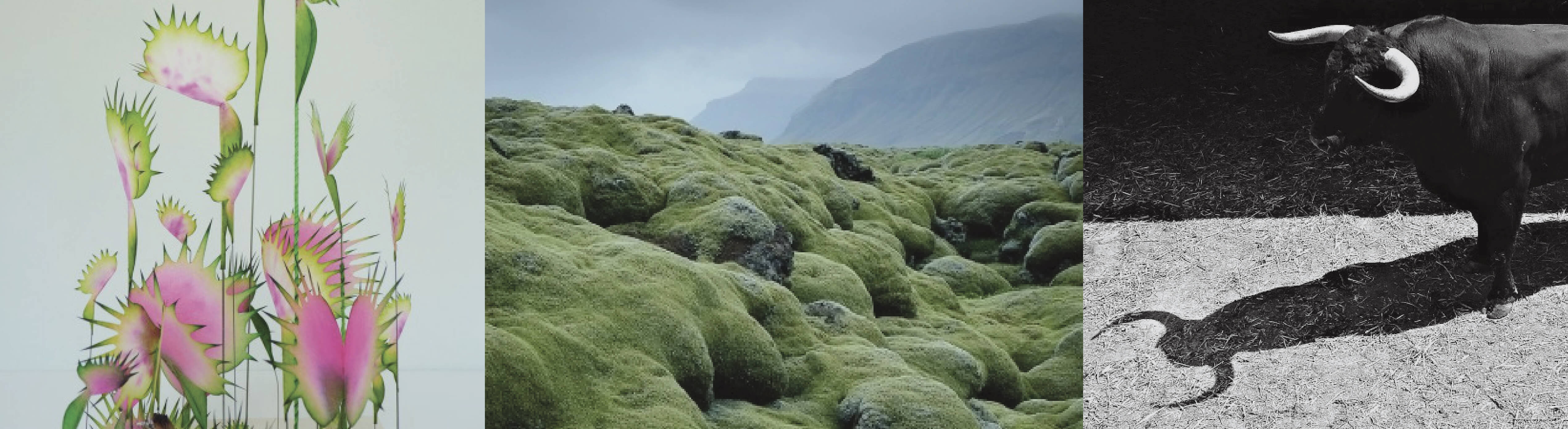 Taurus Season: The Horoscope + Embracing the Season with Meikel Reece Taurus Season: The Horoscope + Embracing the Season with Meikel Reece