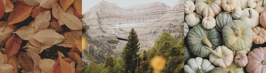 Our Annual Fall Mountain Retreat in Sundance, Utah