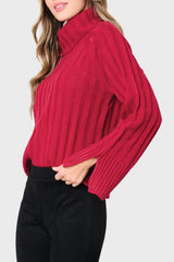 Sanctuary It's Cold Outside Cowl Neck Sweater
