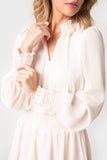 Close-up of Woman wearingBlouson Sleeve Smocked Detail Lurex Chiffon Dress